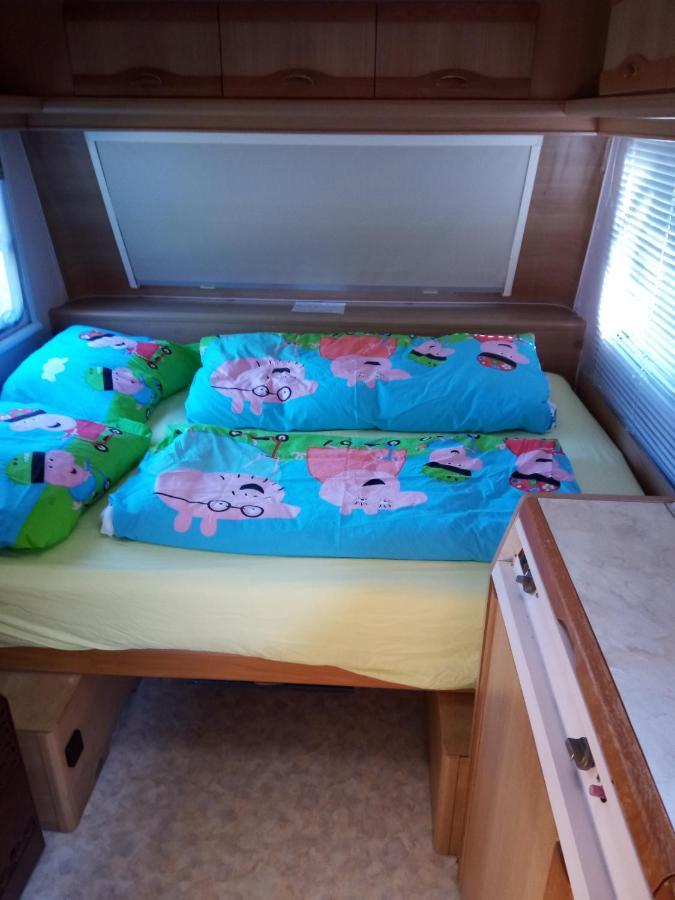 Urlaub Machen Direkt Am Irland Das Kinderparadies In Twisteden Im Grossen Garten Bei Privatleute Fur Maximal Sechs Personen Kevelaer Exteriér fotografie